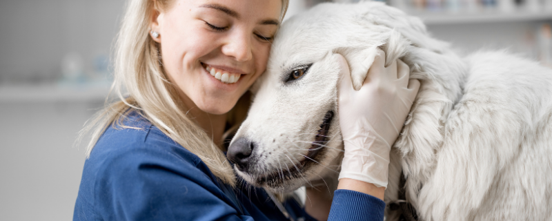 Comment choisir un métier animalier pour votre reconversion ?